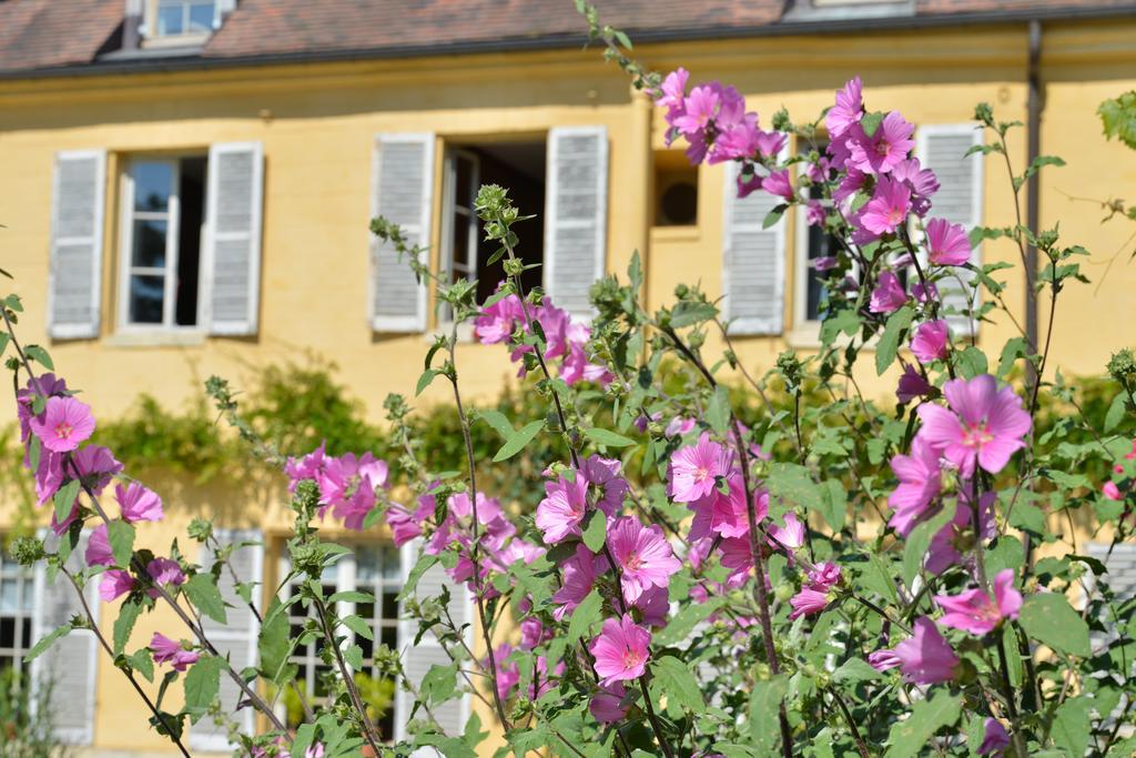 Charmilles Des Cordeliers Bed and Breakfast Parigi Esterno foto