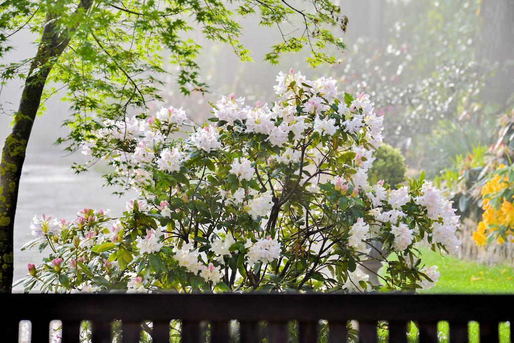 Charmilles Des Cordeliers Bed and Breakfast Parigi Esterno foto